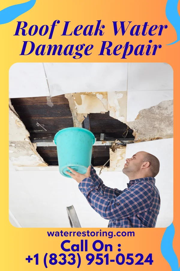 Roof Leak Water Damage Repair in Washington, KS