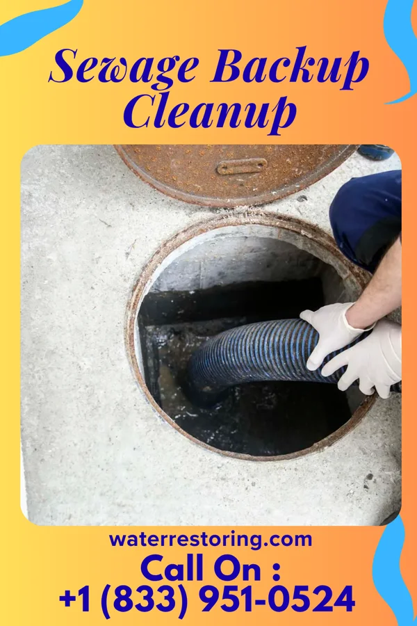 Sewage Backup Cleanup in Washington, KS