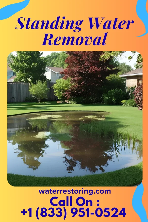 Standing Water Removal in Washington, KS